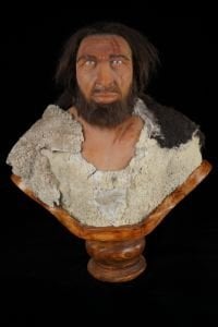 İlk İnsan – Homo Sapiens Balmumu Silikon Heykeli (FİYAT ALINIZ)